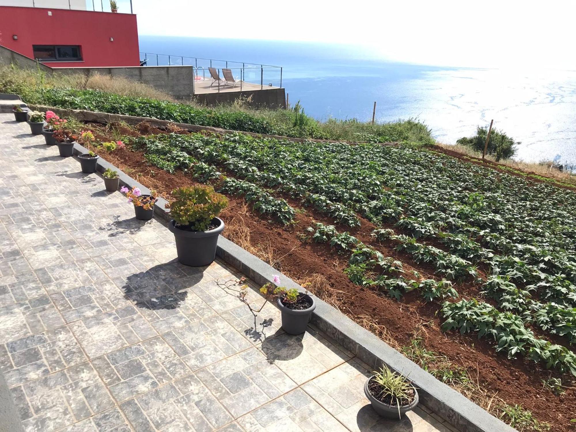 Villa Palheirinho Da Achada Arco da Calheta  Esterno foto